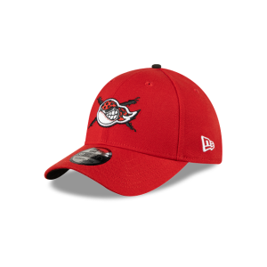 GORRA NEW ERA CAP PIRATAS DE CAMPECHE LMB GAME CAP HOME 39THIRTY ELáSTICA en STOCK