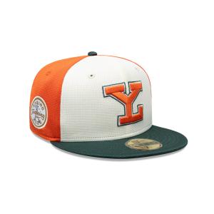 GORRA NEW ERA CAP LEONES DE YUCATáN LMB SPRING TRAINING 2025 59FIFTY CERRADA en STOCK