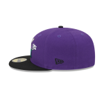 GORRA NEW ERA CAP PINKY Y CEREBRO ANIMANIACS WARNER BROS X NEW ERA 59FIFTY CERRADA en STOCK