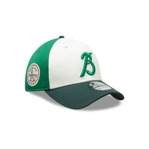 GORRA NEW ERA CAP BRAVOS DE LEóN LMB SPRING TRAINING 2025 39THIRTY ELáSTICA en STOCK